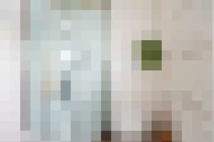 Valeriaan 80 Gendringen thumbnail 28