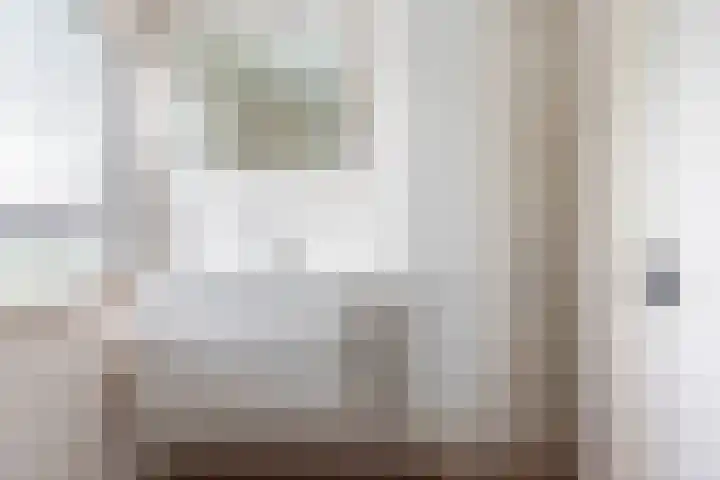 Valeriaan 80 Gendringen thumbnail 30