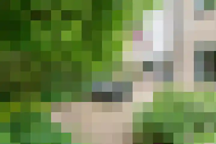 Valeriaan 80 Gendringen thumbnail 35