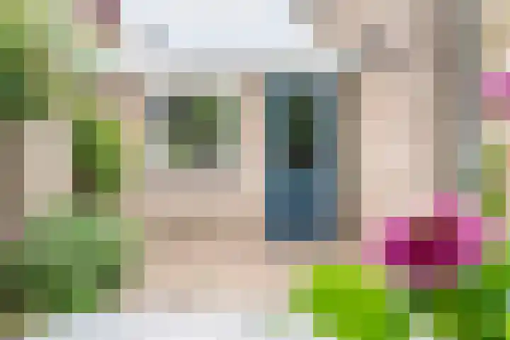 Valeriaan 80 Gendringen thumbnail 36