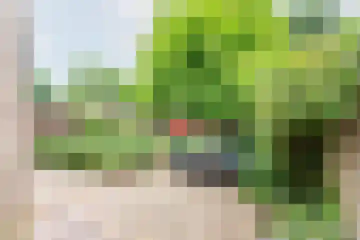 Valeriaan 80 Gendringen thumbnail 37
