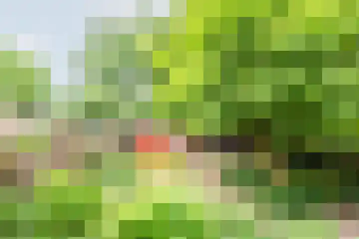 Valeriaan 80 Gendringen thumbnail 38