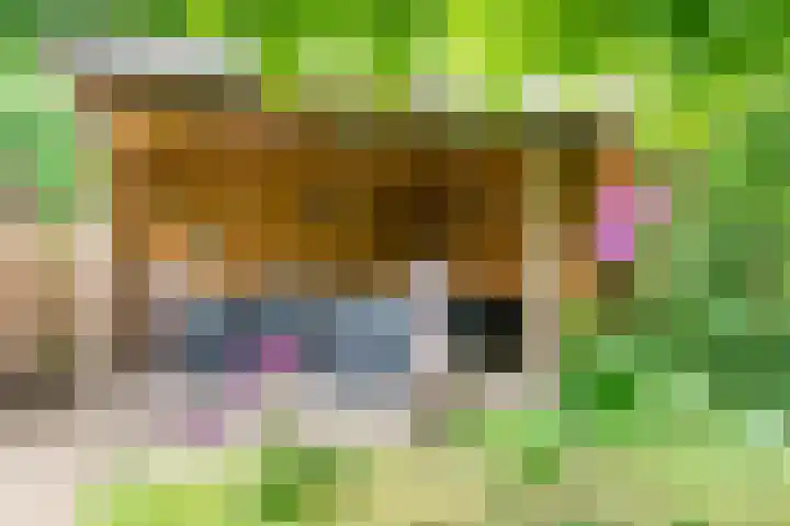 Valeriaan 80 Gendringen thumbnail 39