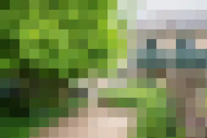 Valeriaan 80 Gendringen thumbnail 4