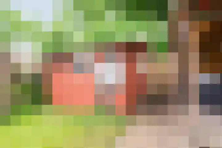 Valeriaan 80 Gendringen thumbnail 41