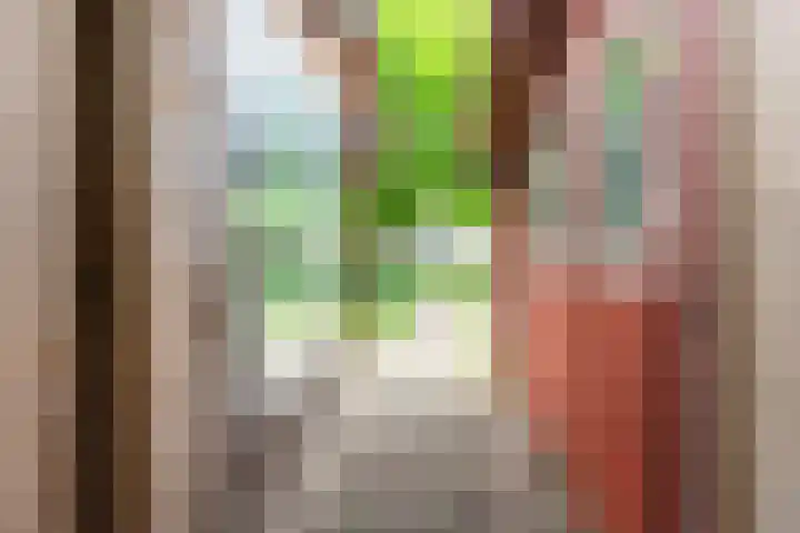 Valeriaan 80 Gendringen thumbnail 42
