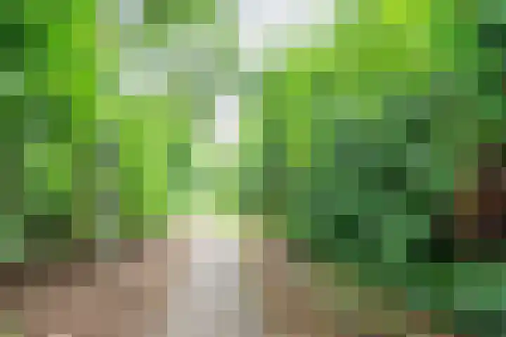Valeriaan 80 Gendringen thumbnail 43