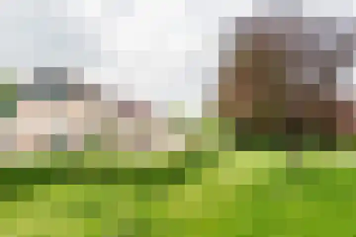 Valeriaan 80 Gendringen thumbnail 44