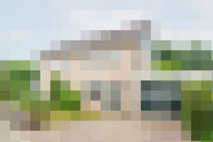 Valeriaan 80 Gendringen thumbnail 5