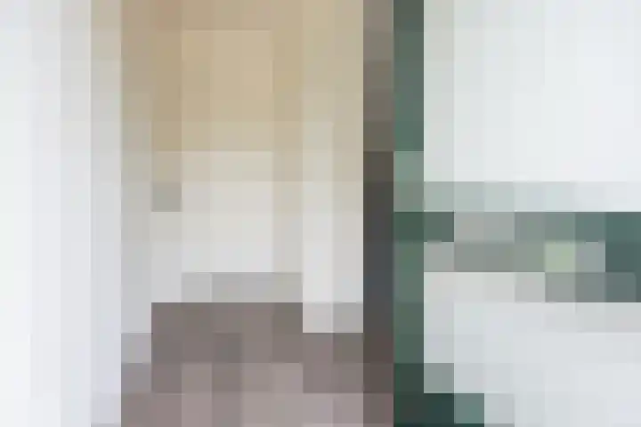 Valeriaan 80 Gendringen thumbnail 7