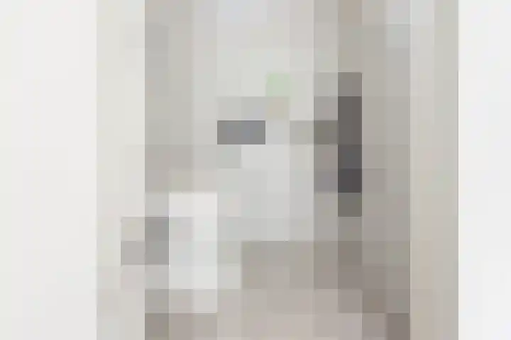 Valeriaan 80 Gendringen thumbnail 8