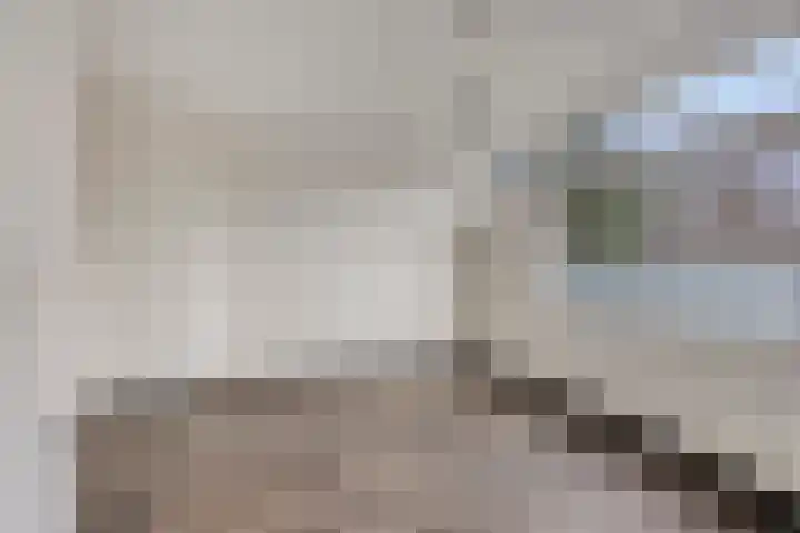 Valeriaan 82 Heerenveen thumbnail 11