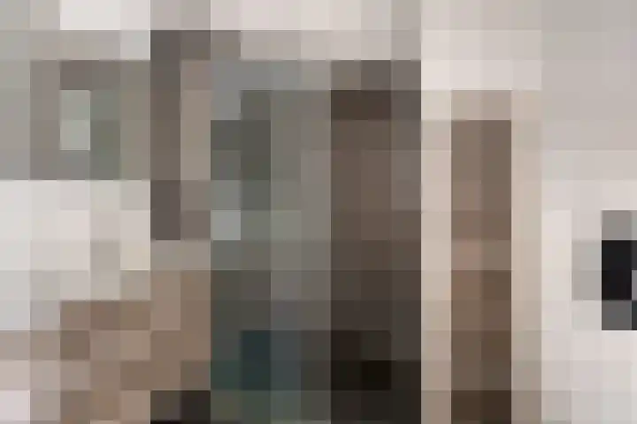 Valeriaan 82 Heerenveen thumbnail 13