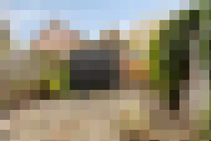Valeriaan 82 Heerenveen thumbnail 22