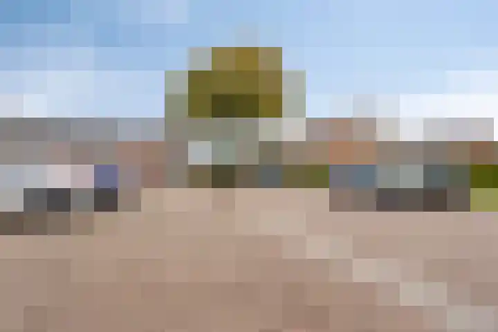 Valeriaan 82 Heerenveen thumbnail 23