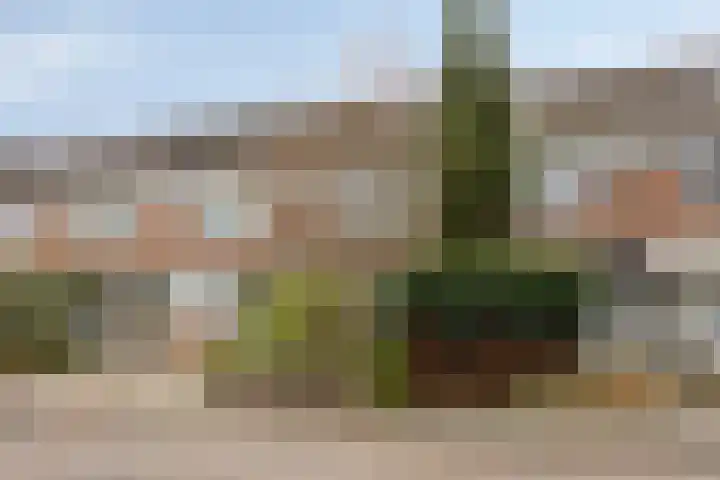 Valeriaan 82 Heerenveen thumbnail 4