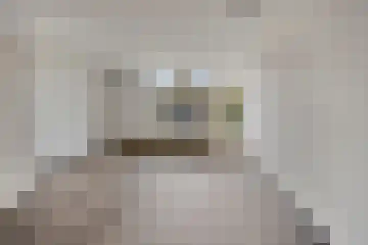 Valeriaan 82 Heerenveen thumbnail 6