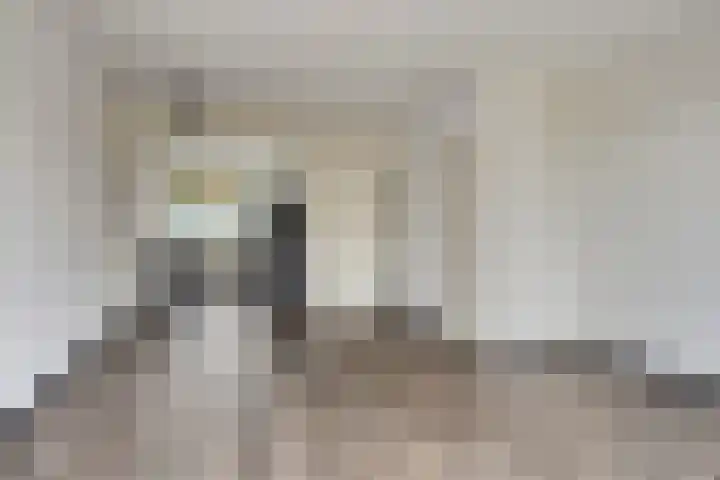 Valeriaan 82 Heerenveen thumbnail 7