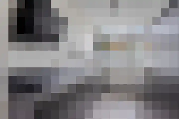 Valeriaan 82 Heerenveen thumbnail 8