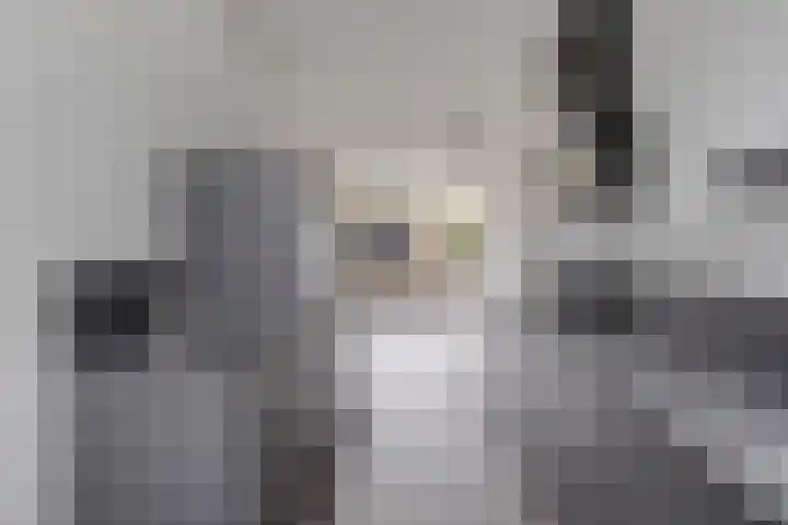 Valeriaan 82 Heerenveen thumbnail 9