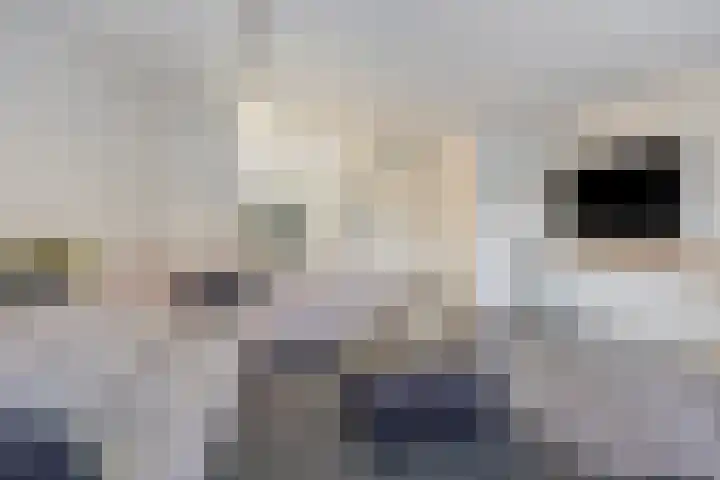 Valeriaan 82 Meppel thumbnail 11