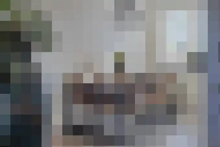 Valeriaan 82 Meppel thumbnail 13