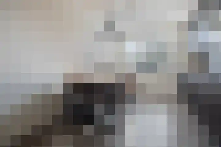 Valeriaan 82 Meppel thumbnail 14
