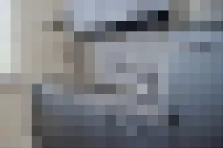 Valeriaan 82 Meppel thumbnail 18