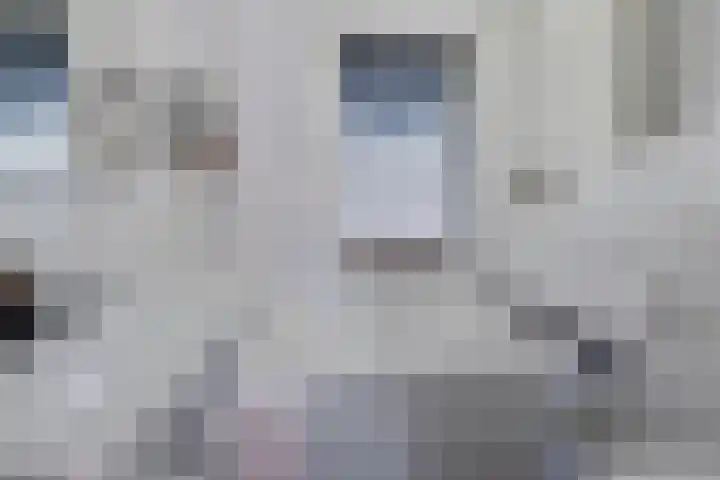 Valeriaan 82 Meppel thumbnail 26