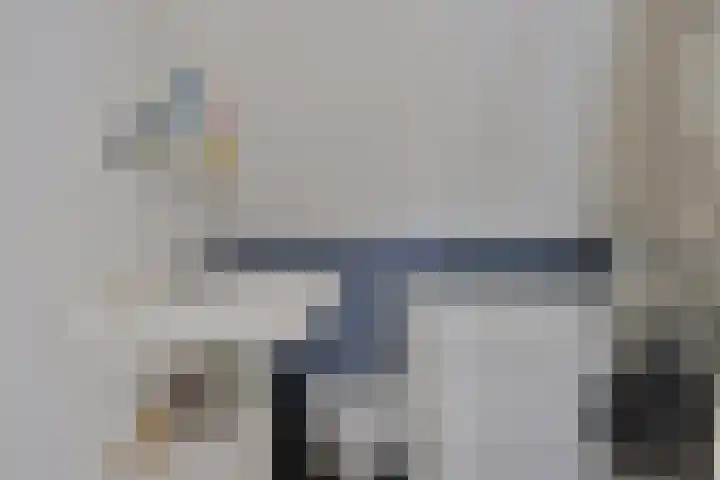 Valeriaan 82 Meppel thumbnail 29