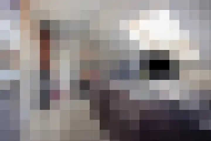 Valeriaan 82 Meppel thumbnail 30