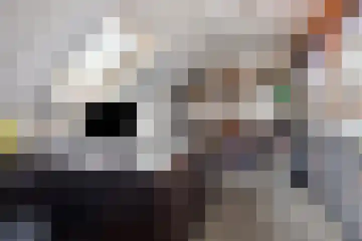Valeriaan 82 Meppel thumbnail 31