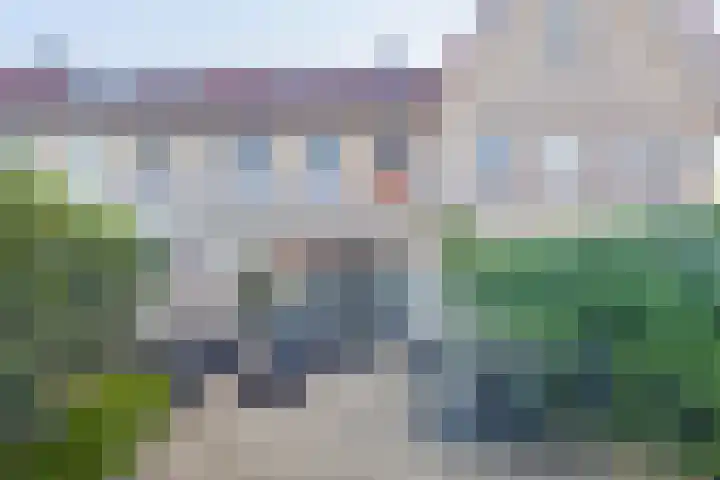 Valeriaan 82 Meppel thumbnail 32