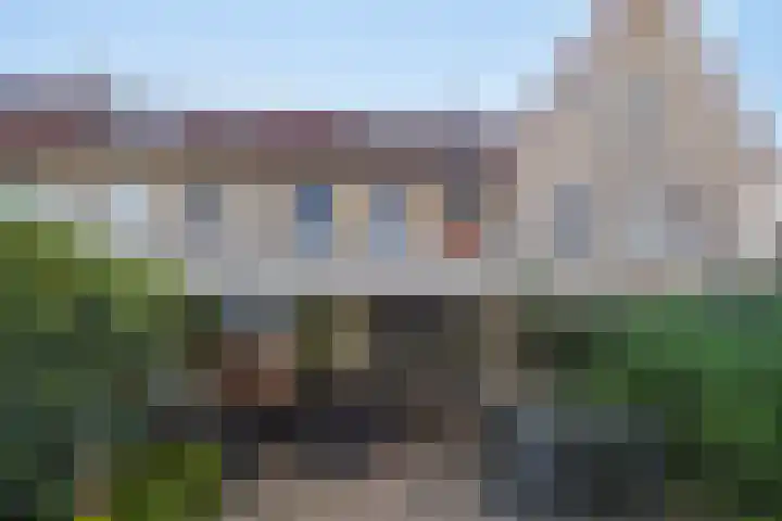 Valeriaan 82 Meppel thumbnail 37