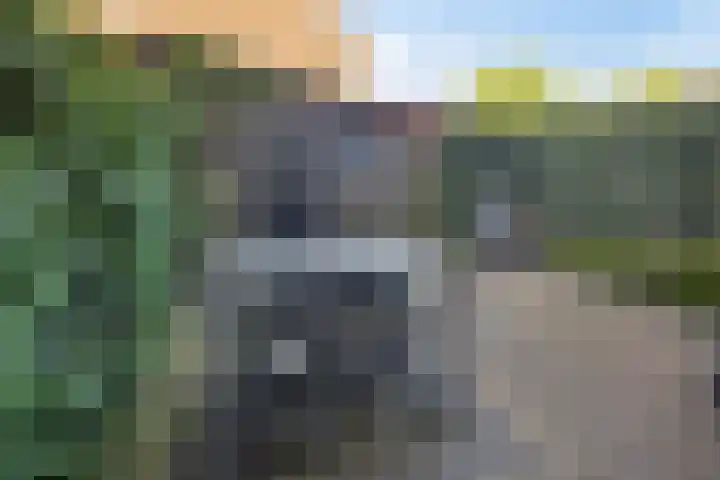 Valeriaan 82 Meppel thumbnail 4