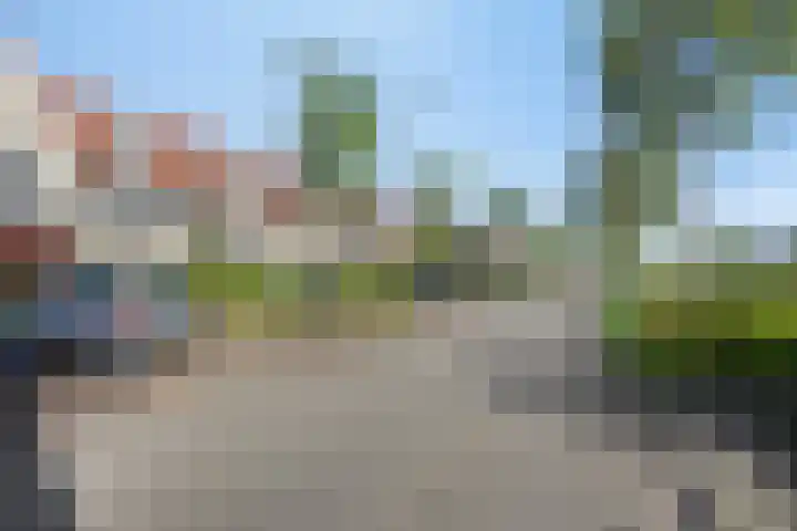 Valeriaan 82 Meppel thumbnail 40