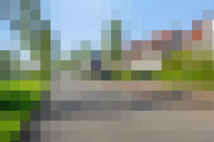 Valeriaan 82 Meppel thumbnail 41