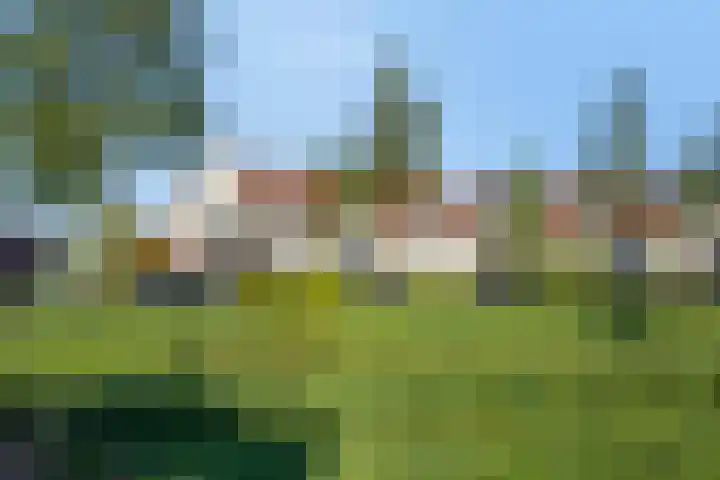 Valeriaan 82 Meppel thumbnail 42