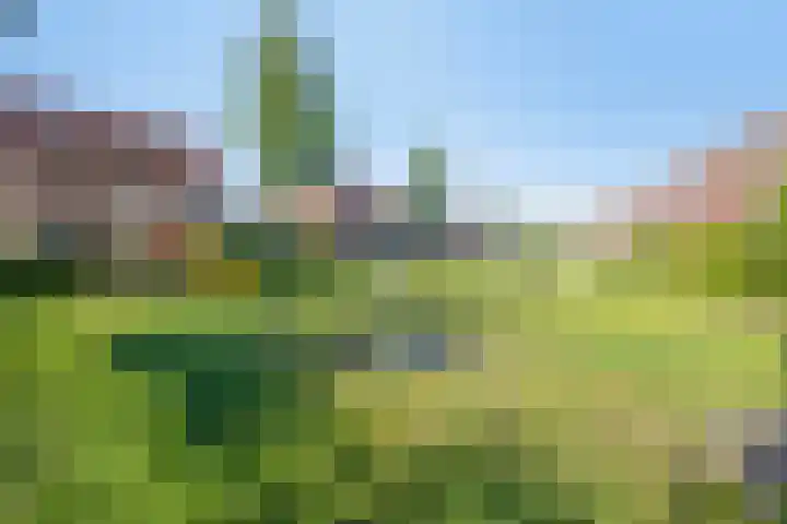 Valeriaan 82 Meppel thumbnail 43