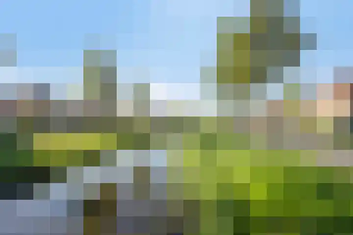 Valeriaan 82 Meppel thumbnail 44