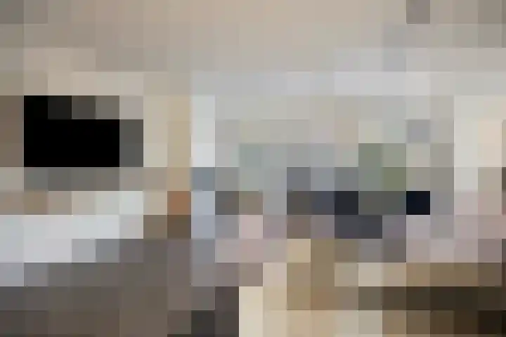 Valeriaan 82 Meppel thumbnail 8