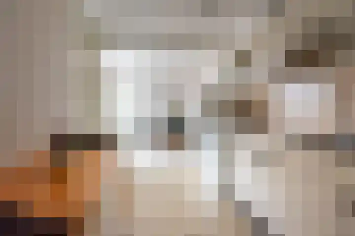 Valeriaan 9 Gendringen thumbnail 11