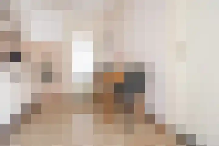 Valeriaan 9 Gendringen thumbnail 13