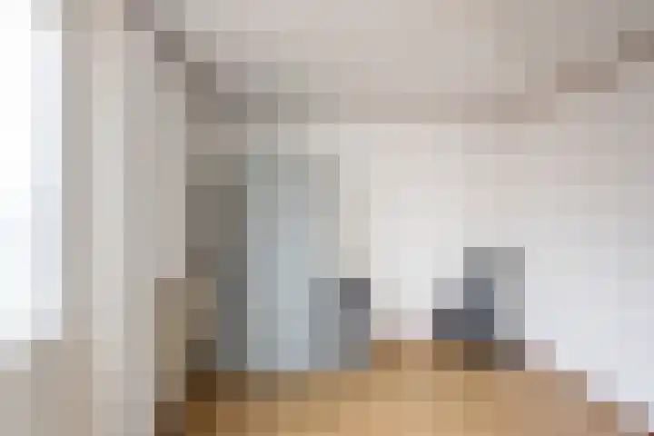 Valeriaan 9 Gendringen thumbnail 14