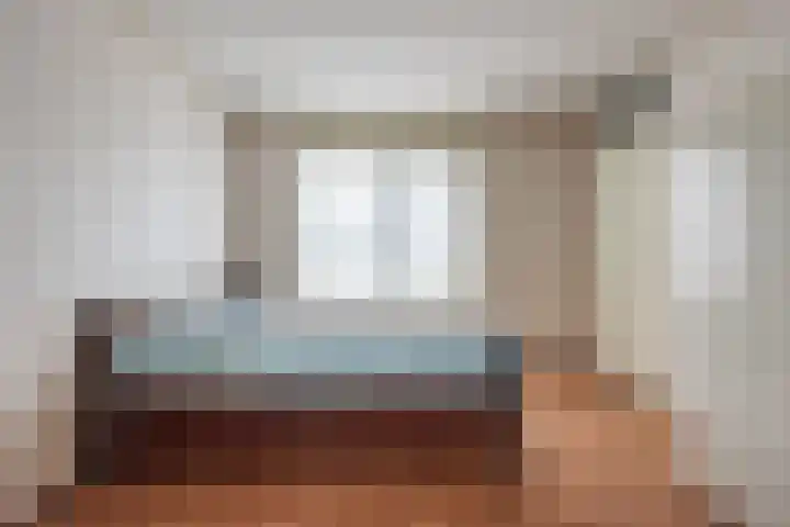 Valeriaan 9 Gendringen thumbnail 17