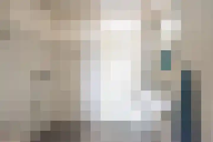 Valeriaan 9 Gendringen thumbnail 18