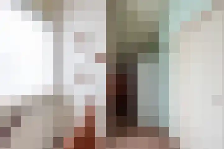Valeriaan 9 Gendringen thumbnail 23