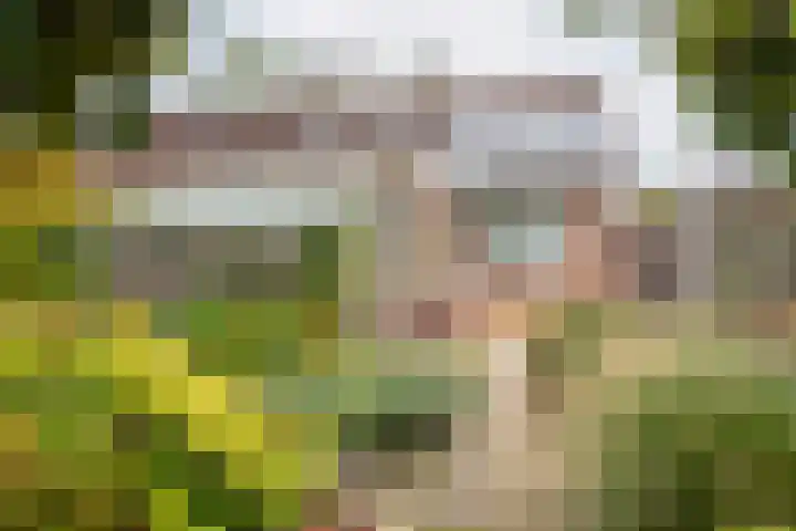 Valeriaan 9 Gendringen thumbnail 26