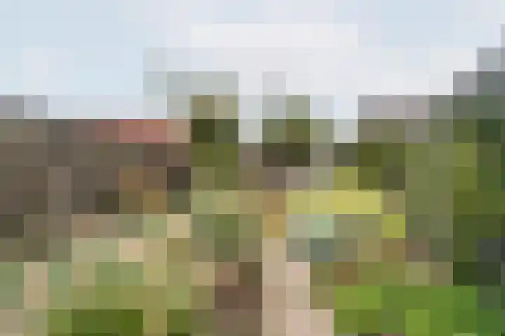 Valeriaan 9 Gendringen thumbnail 28