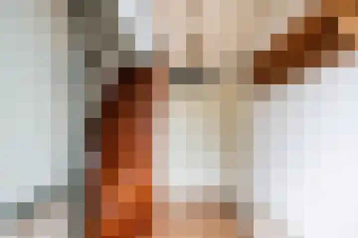 Valeriaan 9 Gendringen thumbnail 7